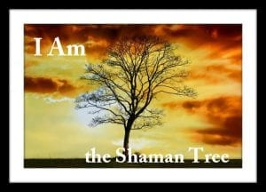 shaman tree
