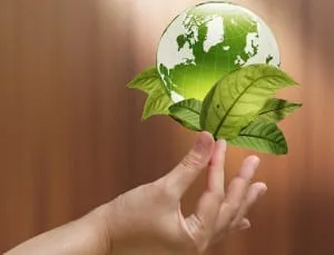 finger holding globe plant 300x229 finger holding globe plant 300x229