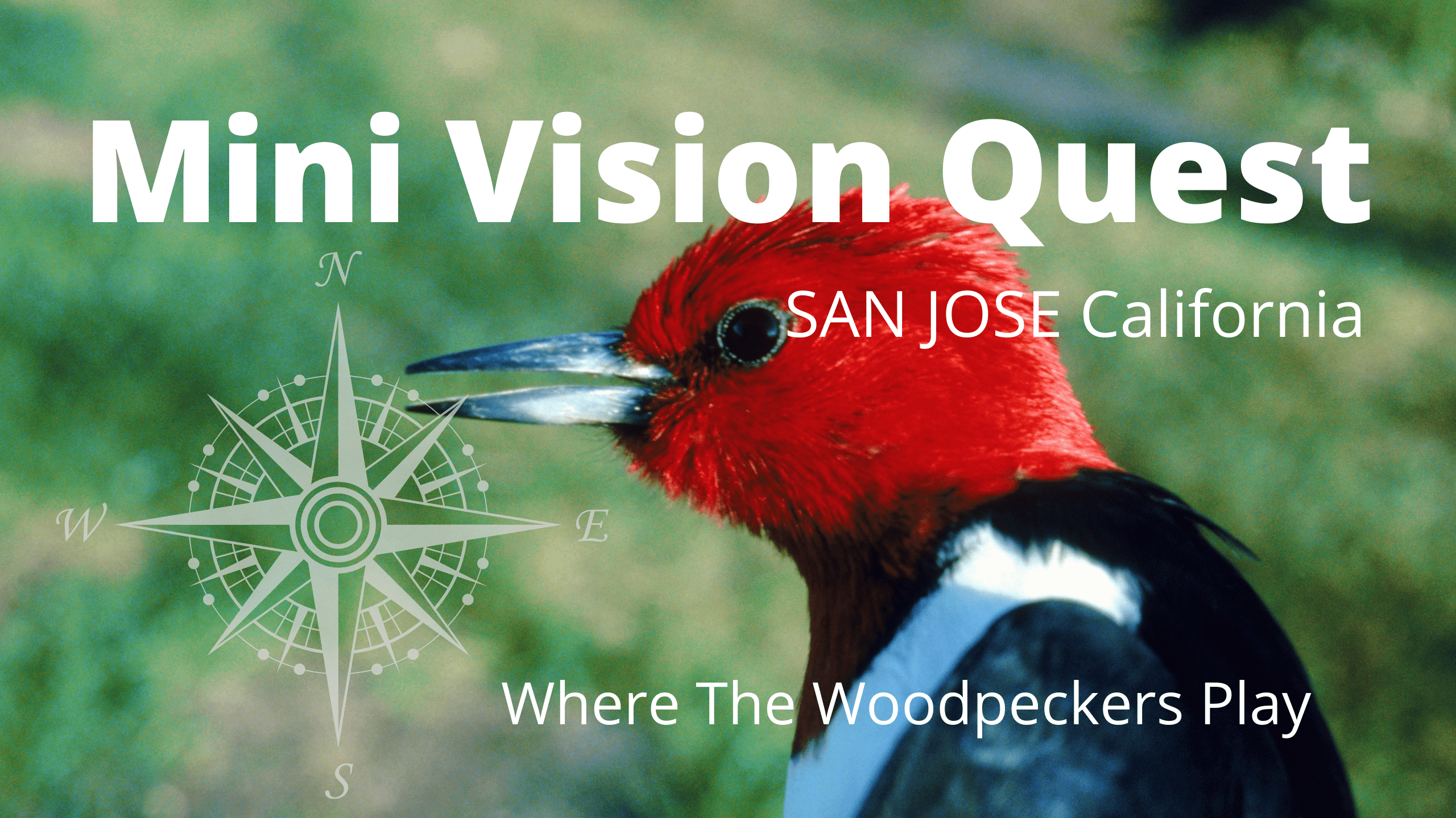 Mini Vision Quest info pic1